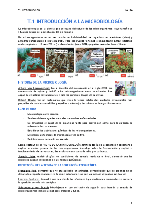 Miniatura del documento T1.-introduccion-2.pdf
