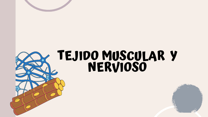 Miniatura del documento Tejido-muscular-y-nervioso-2.pdf