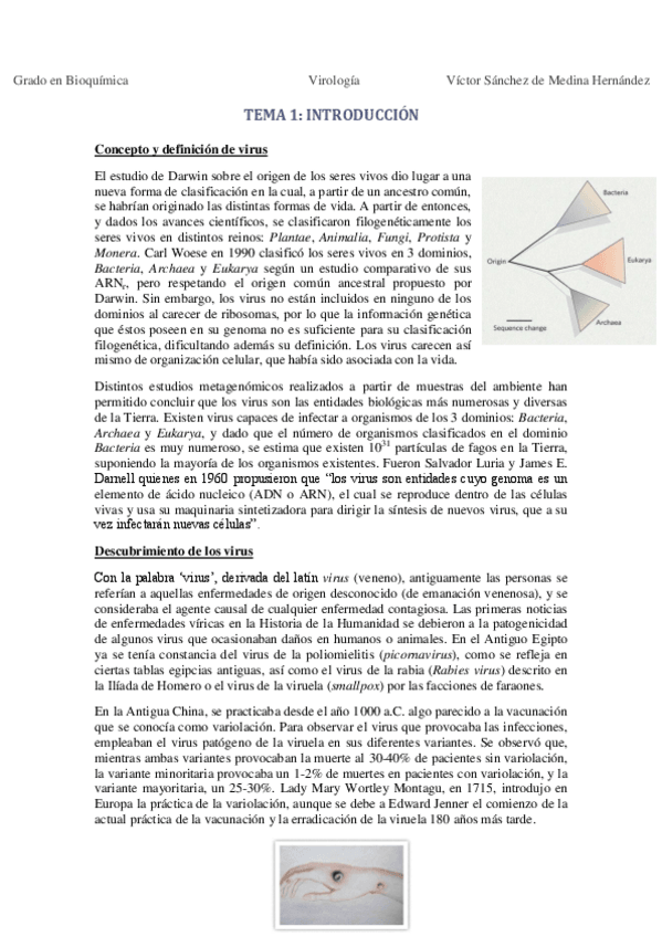 Miniatura del documento Tema 1. Introducción VSM.pdf