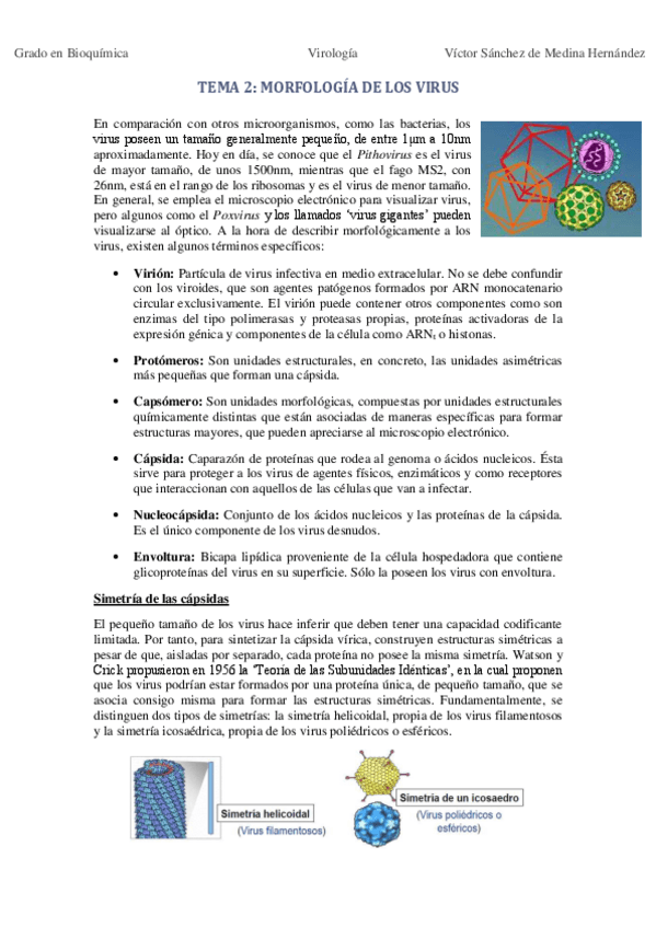 Miniatura del documento Tema 2. Morfología de los virus VSM.pdf