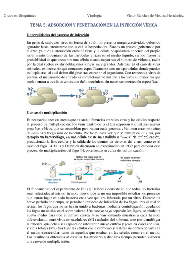 Miniatura del documento Tema 5. Adsorción y penetración VSM.pdf