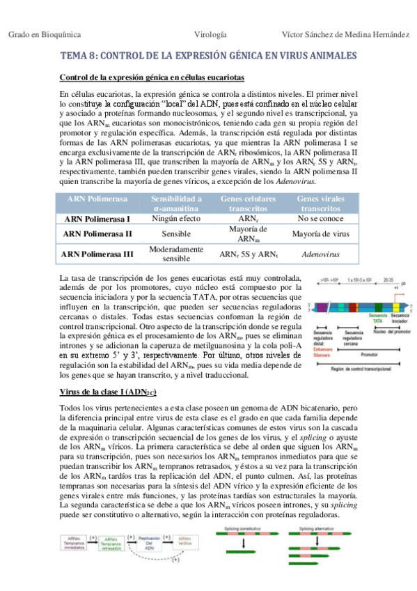 Miniatura del documento Tema 8. Expresión génica en virus animales VSM.pdf