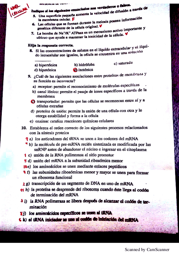 Miniatura del documento EXAMEN QUILES RESUELTO.pdf