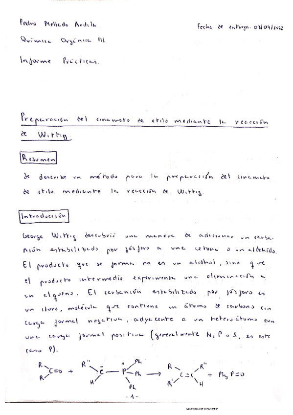 Miniatura del documento Informe-Practicas-QOIII.pdf