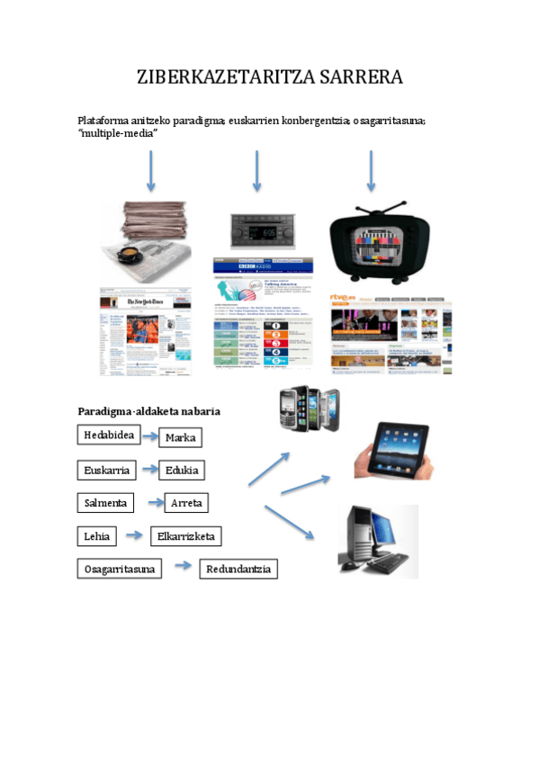 Miniatura del documento ZIBERKAZETARITZA SARRERA.pdf