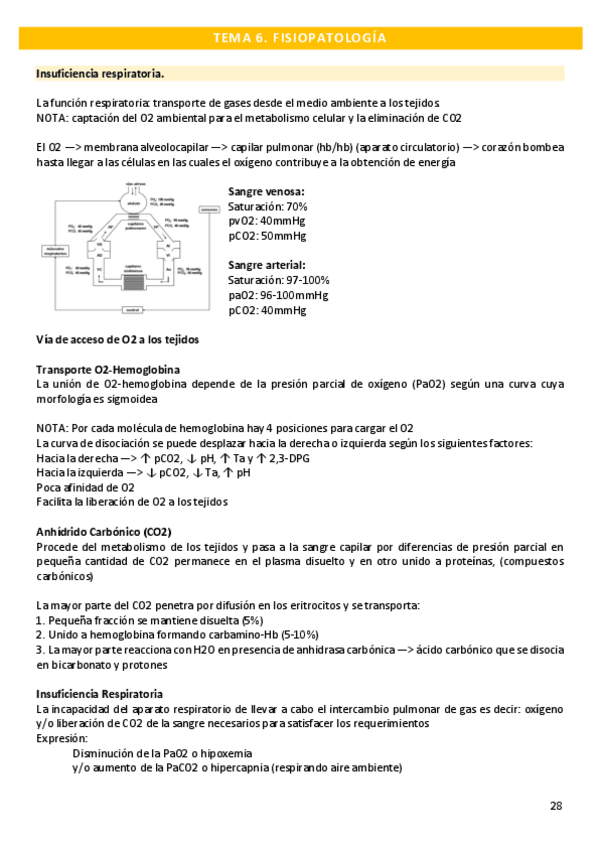 Miniatura del documento T6.-FI.pdf