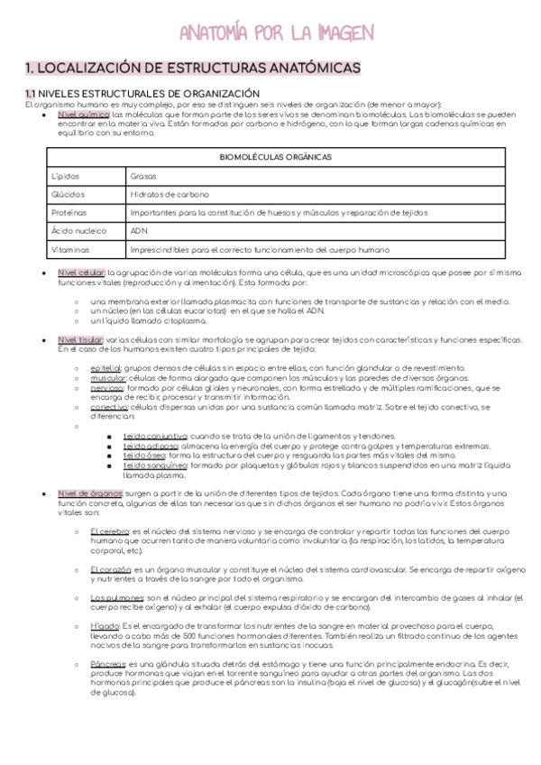 Miniatura del documento UF1.pdf