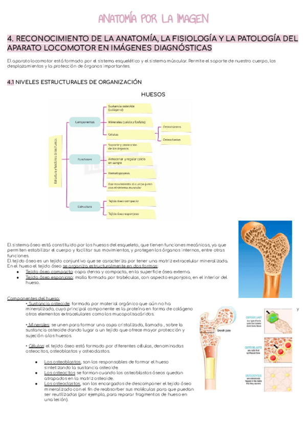 Miniatura del documento UF2.pdf