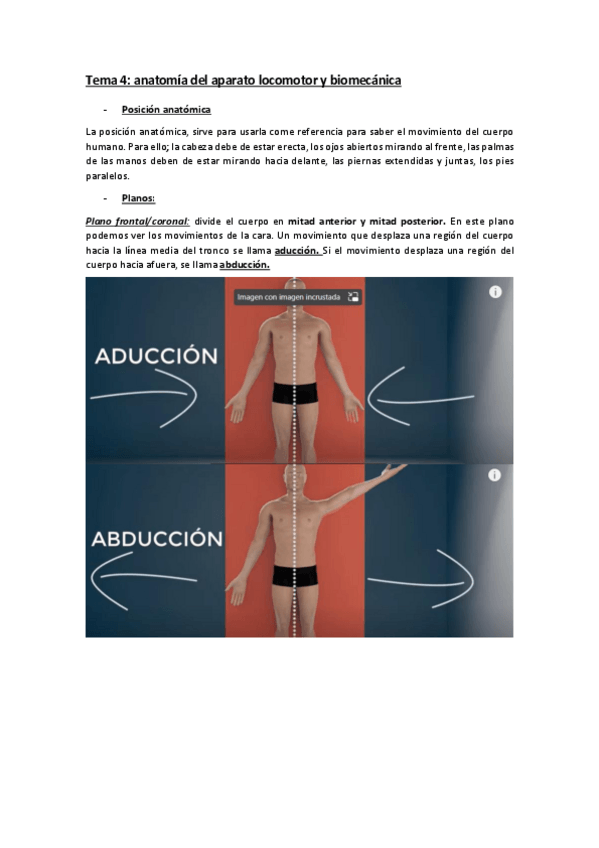 Miniatura del documento Tema-4-anatomia-del-aparato-locomotor-y-biomecanica.pdf
