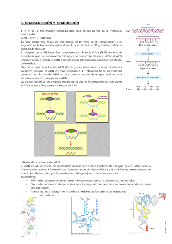 Miniatura del documento 3.-GENETICA.pdf