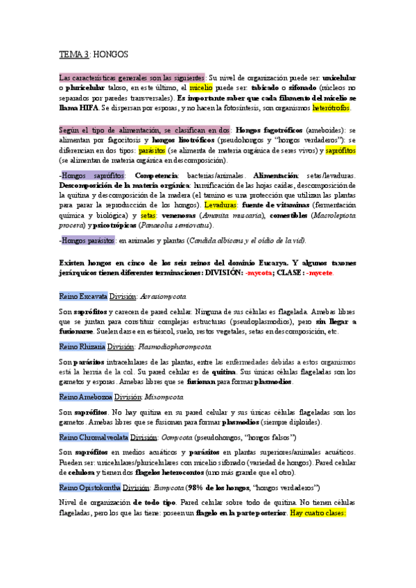 Miniatura del documento RESUMEN-T3-6.pdf