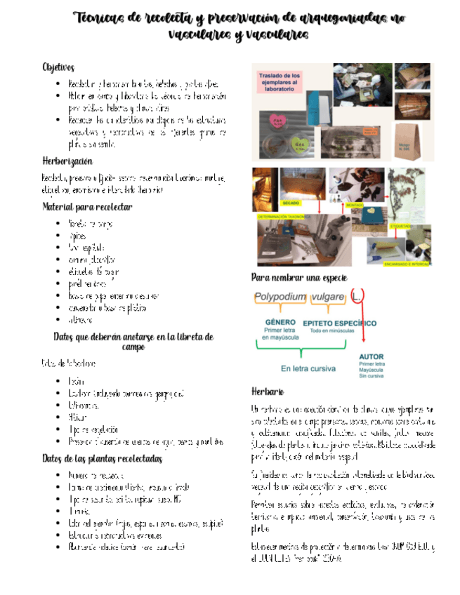 Miniatura del documento Tecnicas-de-recolecta-y-preservacion.pdf