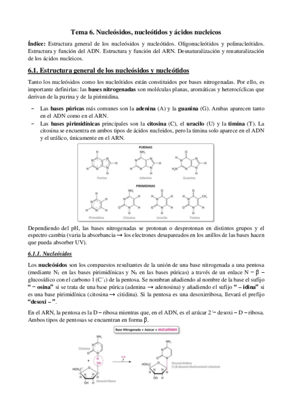 Miniatura del documento Tema-6-Nucleos-nucleot-y-ac-nuclei.pdf