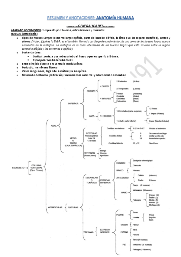 Miniatura del documento Resumen Completo - Anatomía Humana.pdf