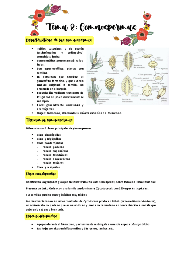 Miniatura del documento Tema-8.pdf
