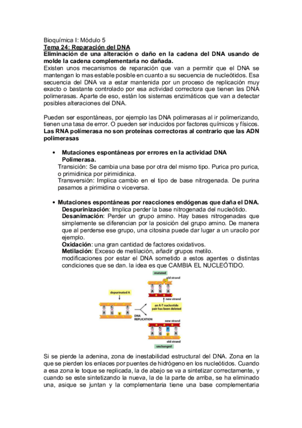 Miniatura del documento Tema-24-BQI.pdf