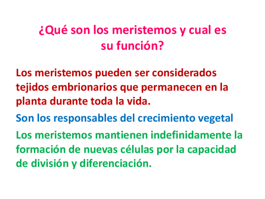 Miniatura del documento 4.-tejido-meristematico.pdf