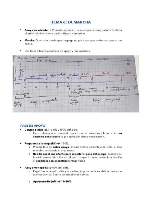 Miniatura del documento TEMA-6-LA-MARCHA.pdf