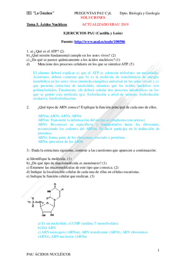 Miniatura del documento pau-bio-ac-nucleicos-soluciones2019.pdf