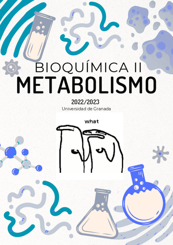 Miniatura del documento Bioquimica-II-tema-1-met.-ADN.pdf