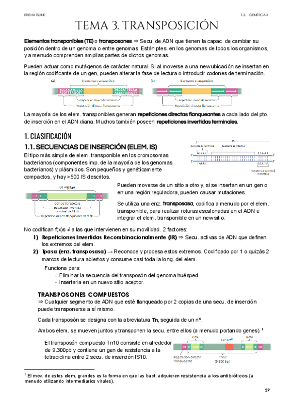 Miniatura del documento Tema-3-Transposicion.pdf