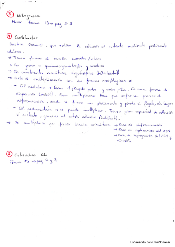 Miniatura del documento Recopilacion-preguntas-examen.pdf