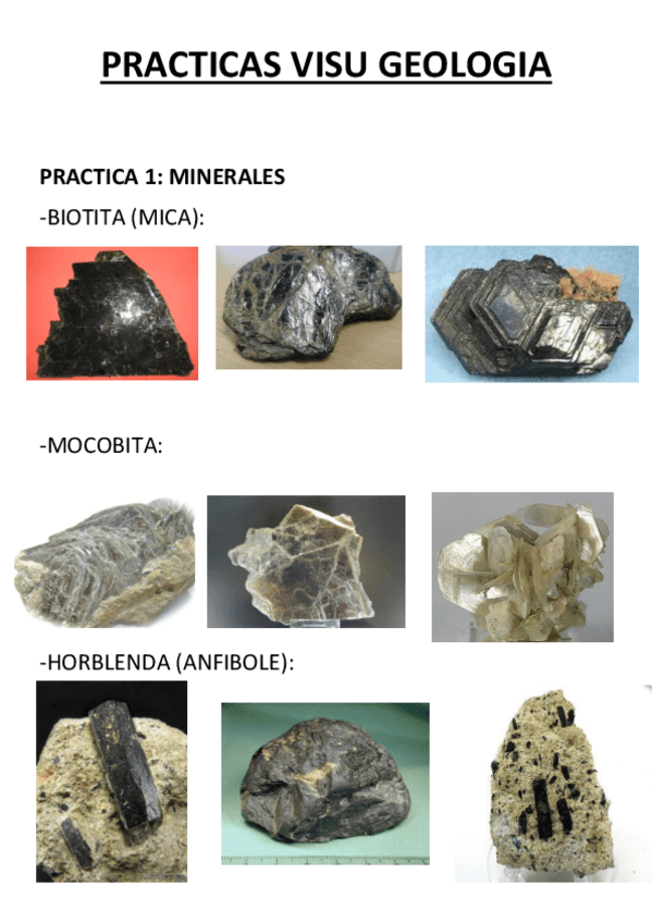Miniatura del documento PRACTICAS-VISU-GEOLOGIA.pdf