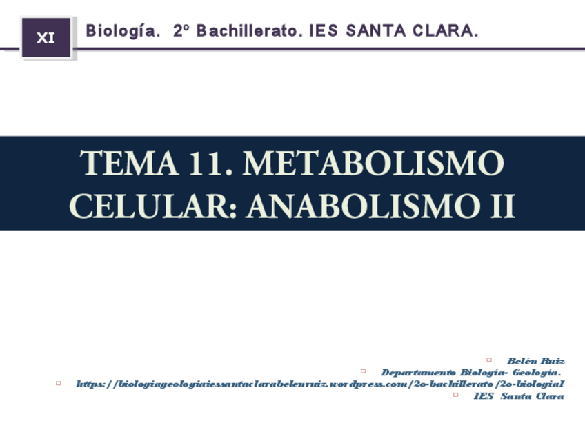 Miniatura del documento TEMA-11-METABOLISMO-CELULAR-ANABOLISMO-II.pdf