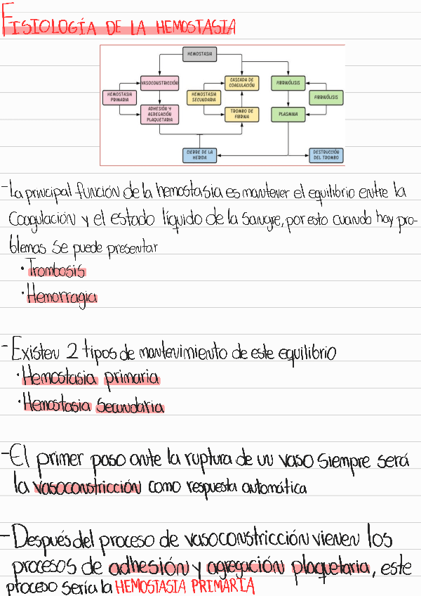 Miniatura del documento Fisiologia-de-la-hemostasia.pdf