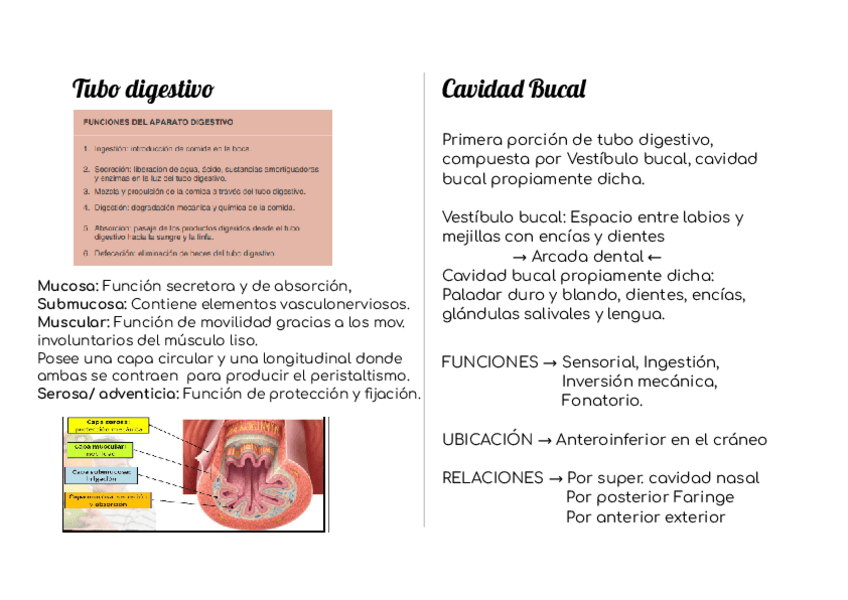 Miniatura del documento Cavidad-Oral-Faringe-Esofago.pdf