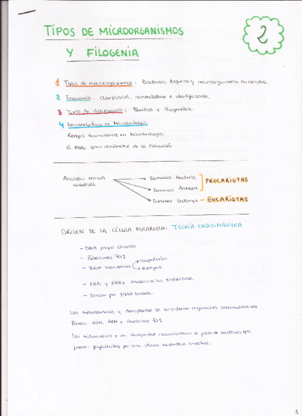 Miniatura del documento 2. Tipos de microorganismos y filogenia.pdf