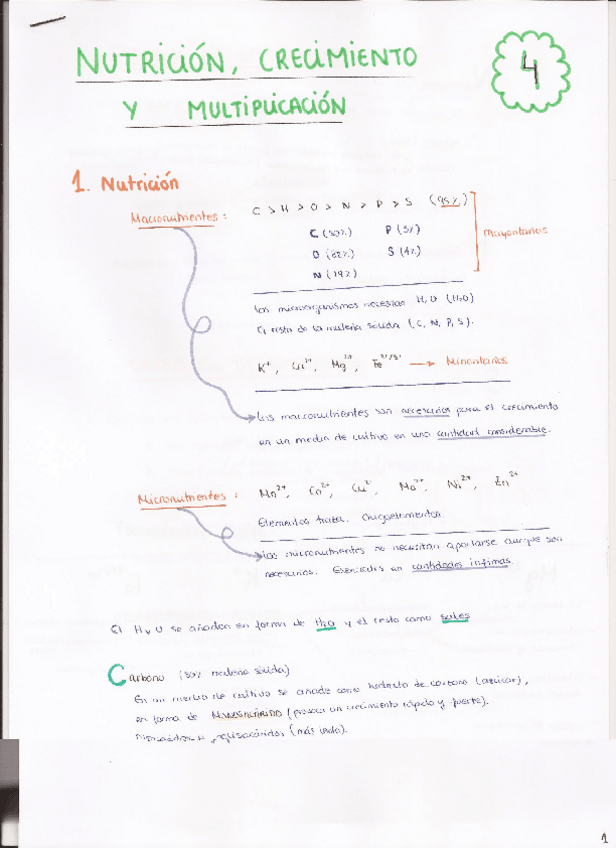 Miniatura del documento 4. Nutrición- crecimiento y multiplicación.pdf