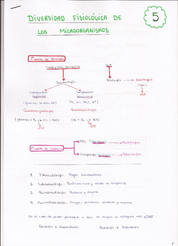 Miniatura del documento 5. Diversidad fisiológica de los microorganismos.pdf
