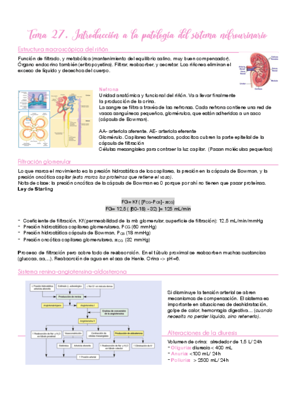 Miniatura del documento T27.pdf