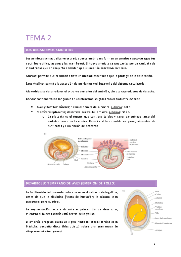Miniatura del documento Tema-2-BioDes.pdf