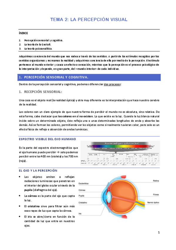 Miniatura del documento TEMA-2-TEORIA-DE-LA-IMAGEN.pdf