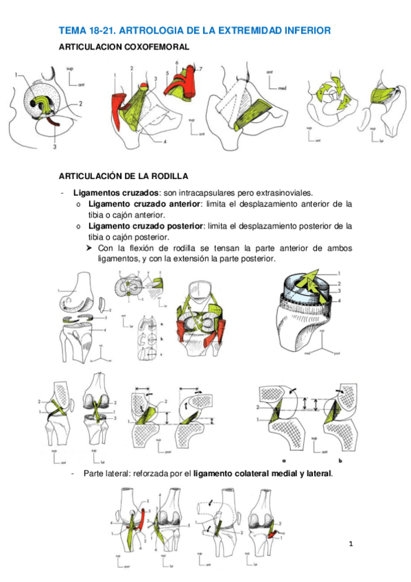 Miniatura del documento TEMA 18.pdf