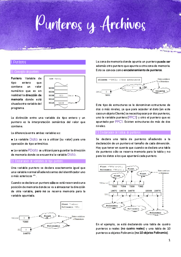 Miniatura del documento Tema 1. Punteros y Archivos.pdf