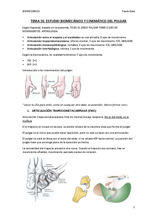 Miniatura del documento TEMA-10.pdf