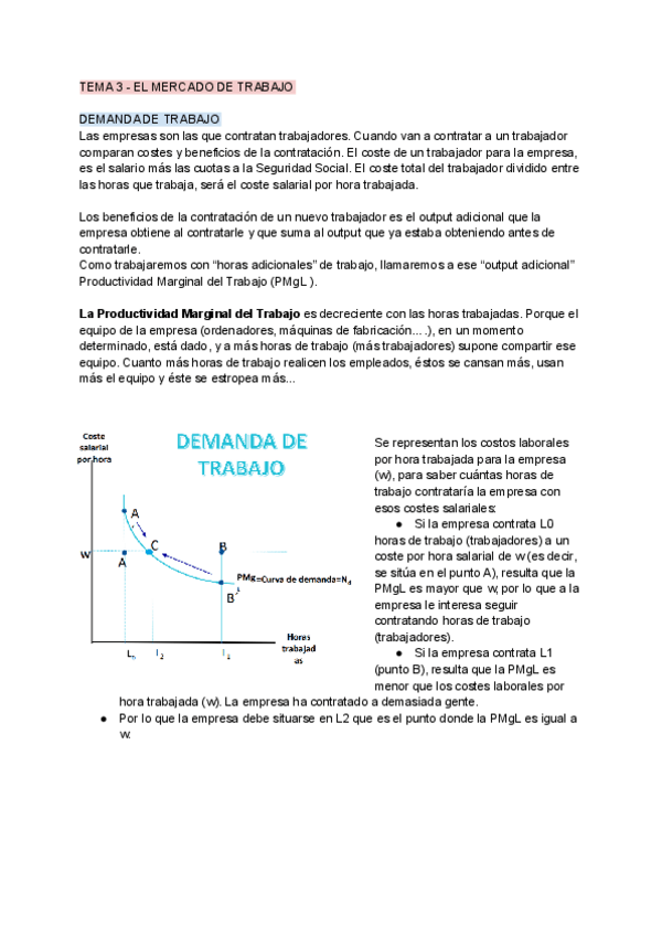 Miniatura del documento TEMA-3-EL-MERCADO-DE-TRABAJO.pdf