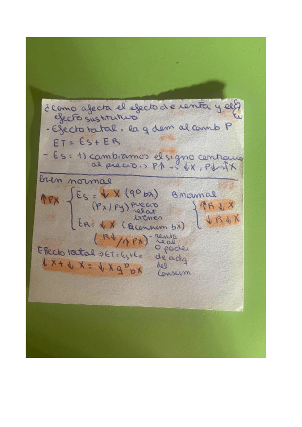 Miniatura del documento Bien-normal-inferior....pdf