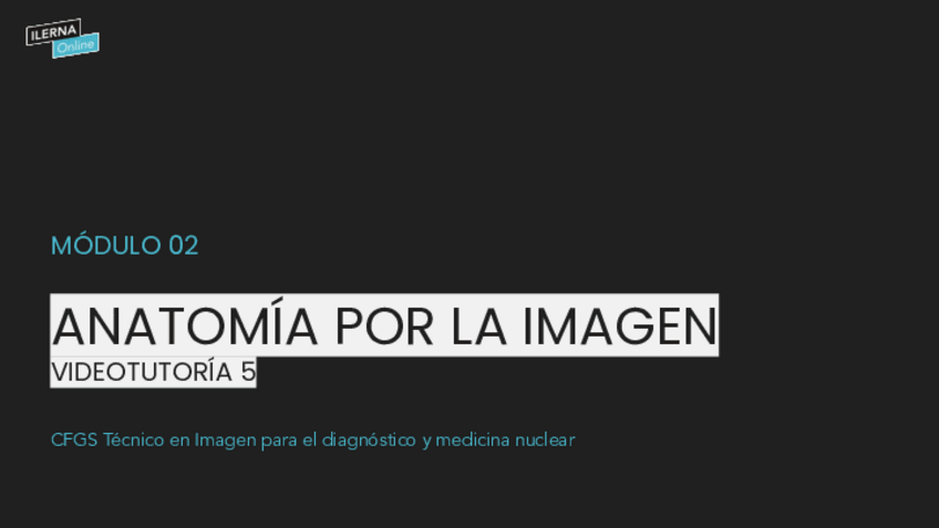 Miniatura del documento DIAPOSITIVAS.-UF2.pdf