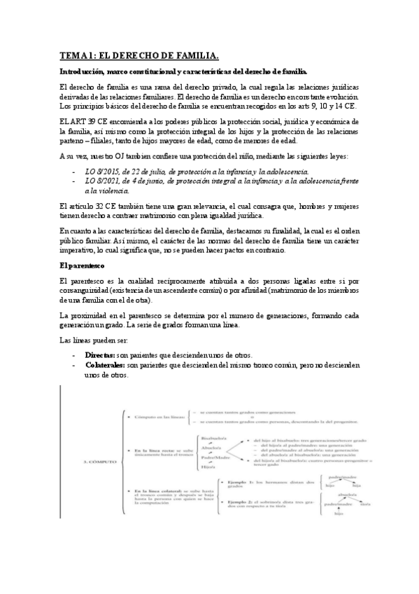 Miniatura del documento civil-tema-1.pdf