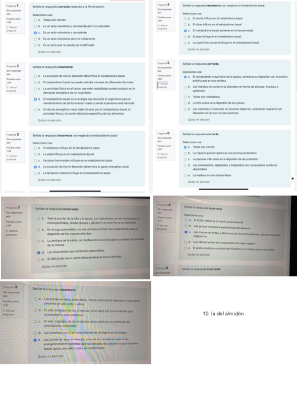 Miniatura del documento primera-autoevaluacion.pdf