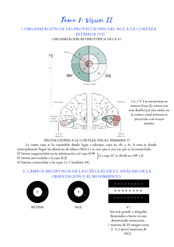 Miniatura del documento VISION-II.pdf