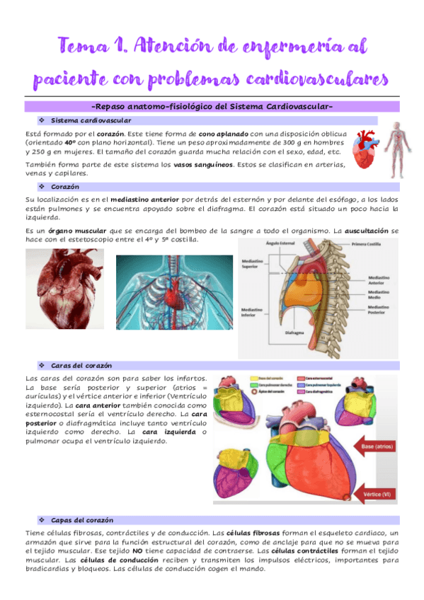 Miniatura del documento 1.-Repaso-anatomo-fisiologico-del-Sistema-Cardiovascular.pdf