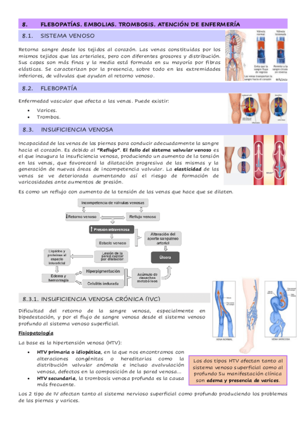 Miniatura del documento 1.8.-Flebopatias.-Embolias.-Trombosis.-Atencion-de-enfermeria.pdf