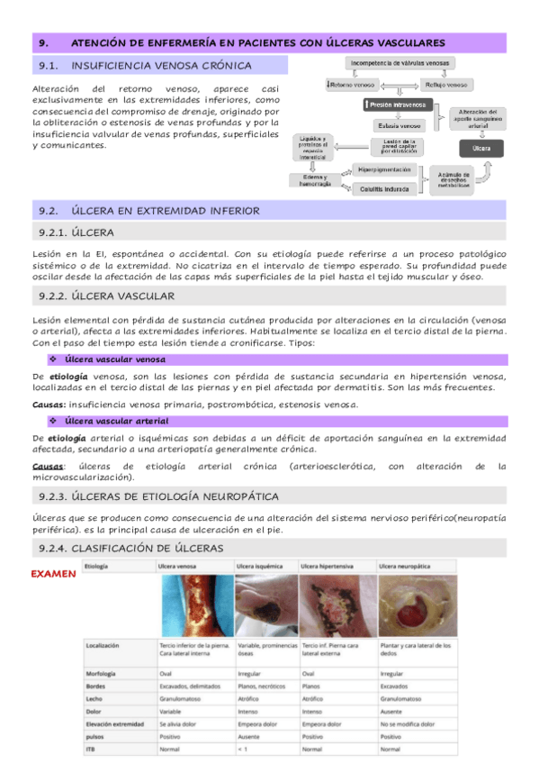 Miniatura del documento 1.9.-Atencion-de-enfermeria-en-pacientes-con-ulceras-vasculares.pdf