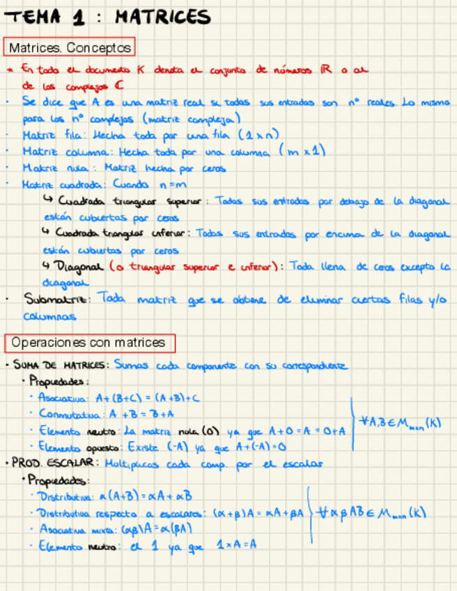 Miniatura del documento Tema-1-Matrices.pdf