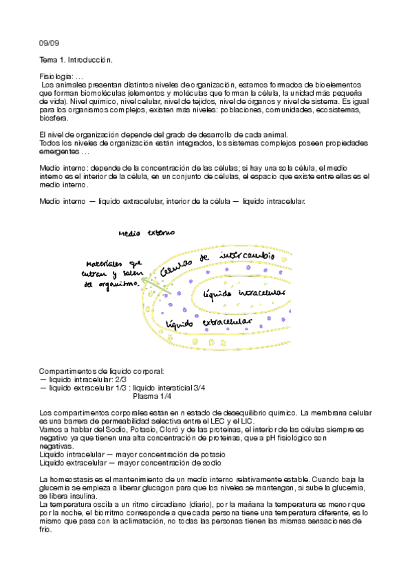 Miniatura del documento Fisiologia-del-SN-y-Endocrino-2122.pdf